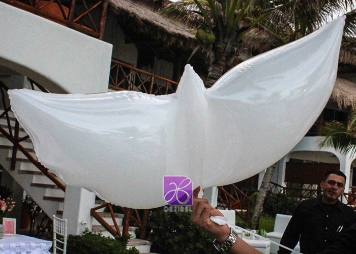 Wedding cancun-Planners- doves of helium-17