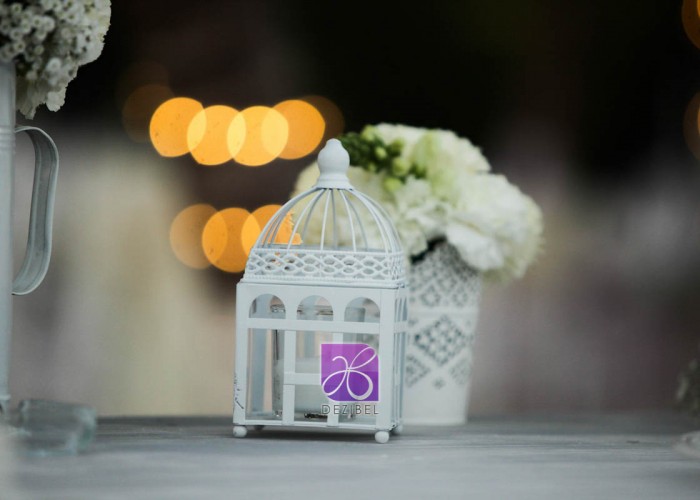 wedding-cancun-planners-vintage-themed-bridal-outdoor-vintage-198